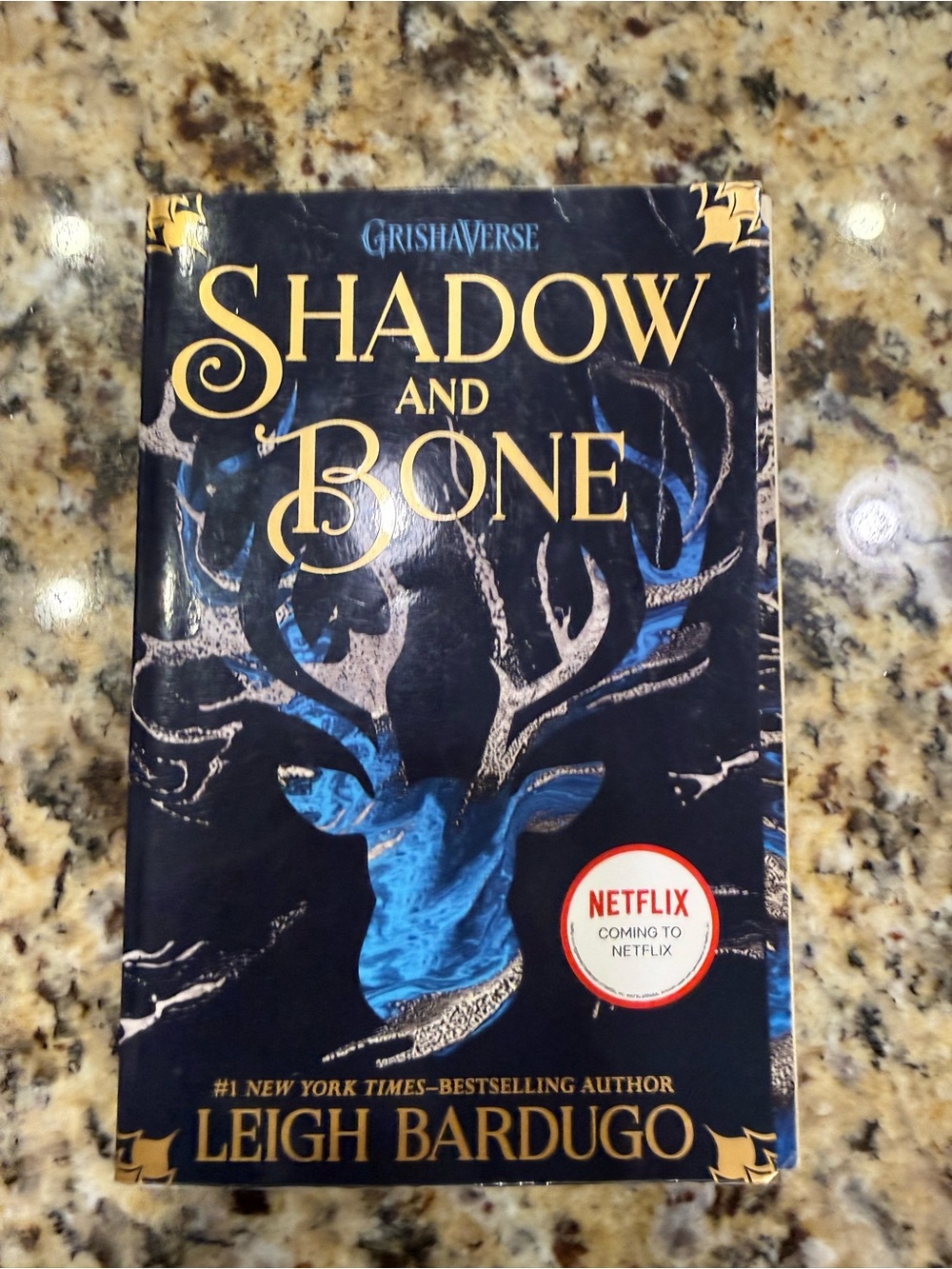Shadow and Bone Paperback - Black and Blue Cover